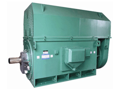 Y800-6Y系列6KV高压电机
